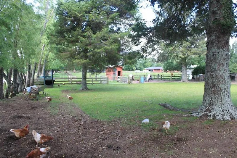 Hideaway Of Rotorua Motel 4*,  New Zealand
